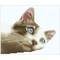 Simply Dotz® Beginner Daydream Kitty Diamond Painting Kit